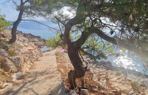 Modern Robinson Veli Bare - Photo 51