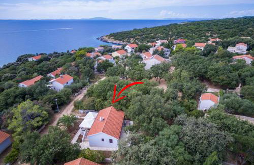 Navalia - Foto 29