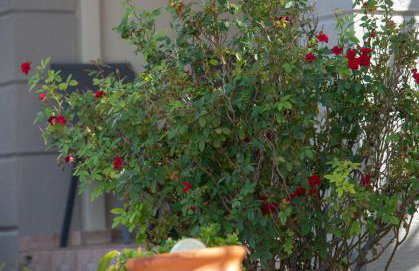 Nireides villas 'TOP DESTINATION' - Foto 39