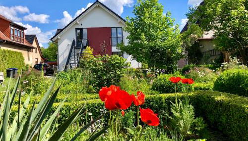 Apartment Kirschti - Foto 2, Garden