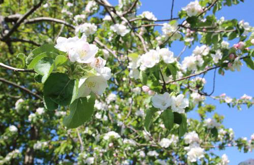 Ferienwohnung Koitscheblick - Foto 14