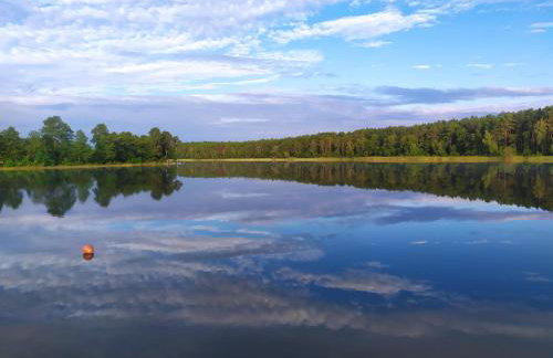 Domki przy jeziorze z prywatną plażą w Borach Tucholskich Pensjonat Alicja wczasy z dziećmi nowe luksusowe domki na skraju jeziora i lasu - Foto 49
