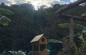 Chácara Recanto da Paz - Photo 63