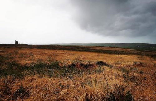 The Flower House - Photo 15