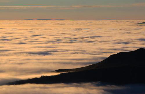 L'Esprit du Bois - Foto 42