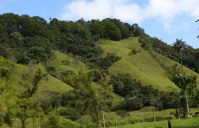 Avistamiento de aves en la reserva Santa Rita - Foto 6