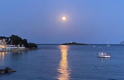 ALCUDIA-VIDA SANA-PRIMERA LINEA DE MAR - Foto 16