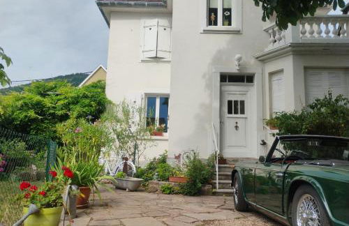 Gîte Le Marronnier, parking et terrasse au calme, entre Colmar-Riquewihr et Obernai, vue sur espaces verts et coteaux d Alsace, route du vin-châteaux - Foto 76