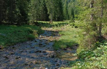 Ferienwohnung Ilona, Armin & Simon Funke - Photo 7