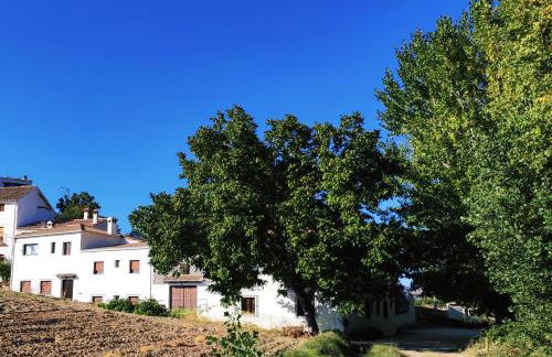 Complejo Apartamentos Rurales Molino de Abajo - Foto 23