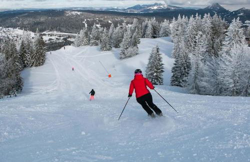 Studio « Le petit montagnard » - Foto 17