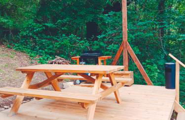 les gites axéens (l'Ours) - Foto 22