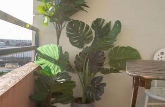 Relax studio - Foto 7