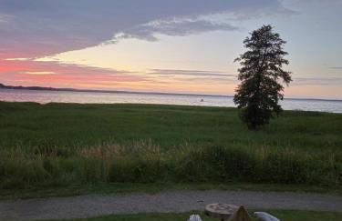 Seeblick Kummerow - Foto 11