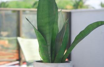 The Home São Miguel do Gostoso by Liiv - Foto 60