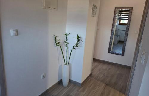 Apartman OBLAK Ravna gora - Foto 6