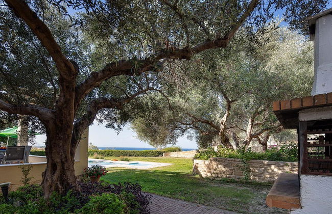 Villa Eleni in Pigianos Kampos - Photo 31