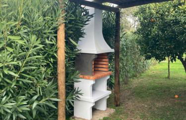 Quintinha do Zé da Lola - Foto 14