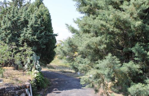 Casa Vacanza Etna - Photo 39