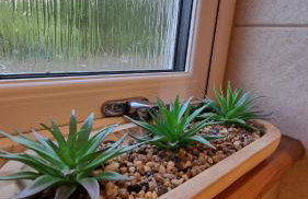 Bailem Lodge at Loch Ness ADULTS ONLY - Foto 10