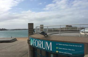 Vacances plages, mer, balades ou GR34 ! - Foto 19