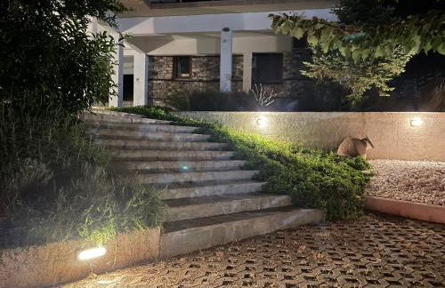 Elia & Meli Studio - Foto 23