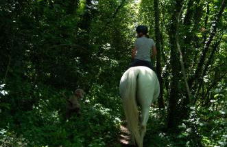 Agriturismo Buonasera - Foto 97