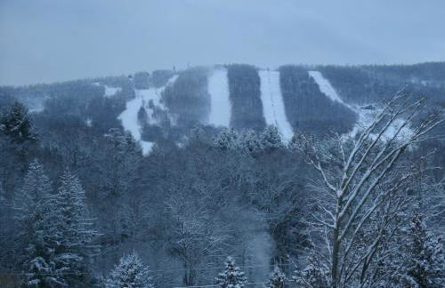 Townhouse W Private Deck & Mt View - Foto 15