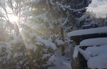 Borstel - Alte Schmiede - Foto 16