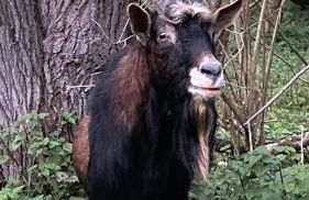 Charaktervolle Whg mit Parkplatz nähe Kassel - Foto 42