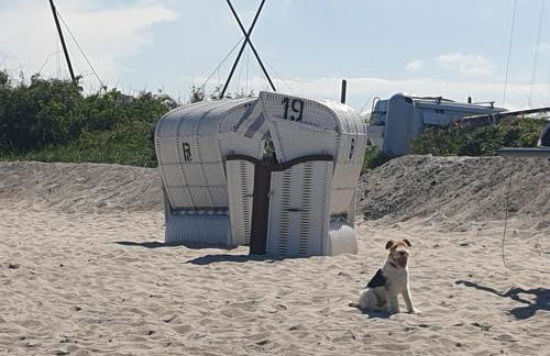 Ostsee-Feeling in Hohwacht - Kapitän NEMO - Meer- und strandnah - Großer Südbalkon - Blick ins Grüne - Foto 32