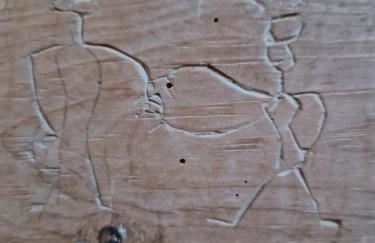 Ferienwohnungen JoJaSa - Foto 29