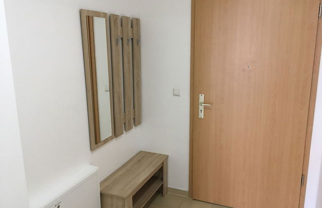 Sahara Falcon - Foto 72