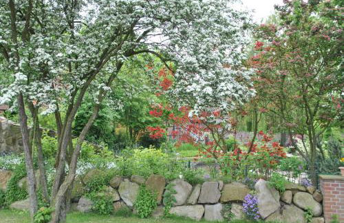 Ferienglück Lindwedel - Photo 30