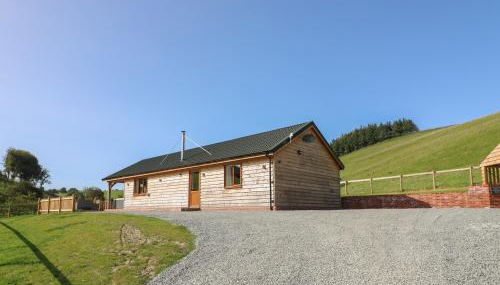 Ploony Hill Cabin - Photo 1