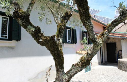 Casa da Maria Moça - Foto 77