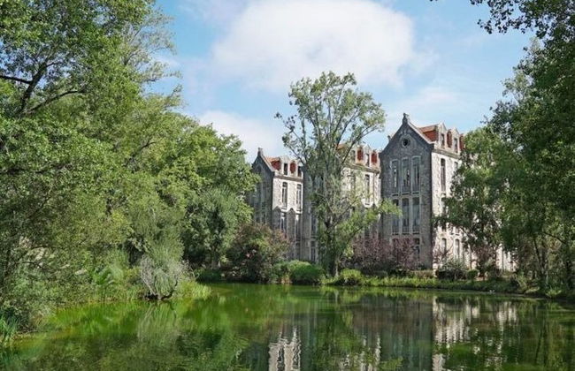 Obidos Nazare Caldas da Rainha Full Day Private Tour from Lisbon - Photo 22