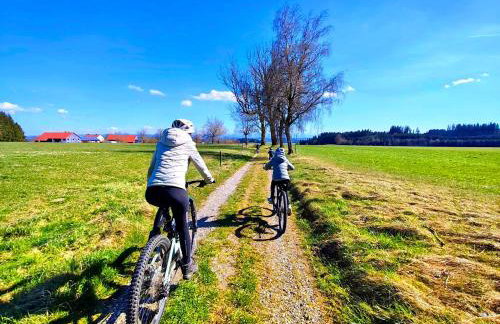 Tiny House 2 im Allgäu mit gr. Garten, Randlage - Foto 4