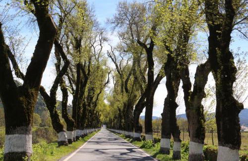 Casa da Portagem by Portus Alacer - Foto 9