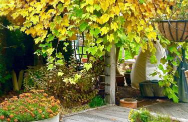 Cosy Studio with a field view - Foto 25