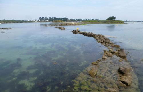 Maison de pays - Foto 29