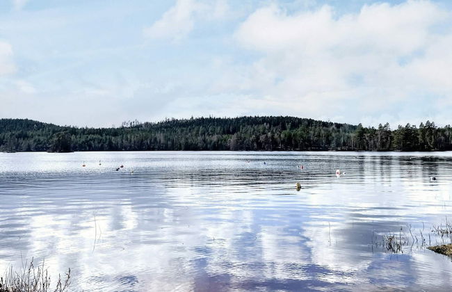 4 Star Holiday Home in Holsljunga - Photo 12