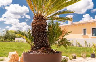 Villa Alessandro - Foto 51