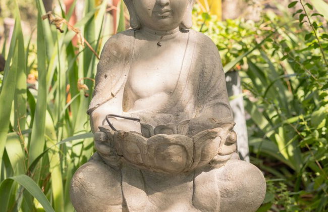 Casa das Palmeiras - Pedagogic Farm - Foto 134