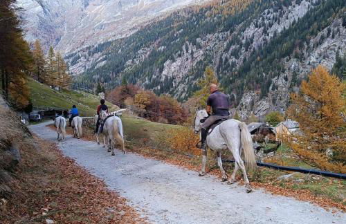 Appartamento vista Monte Rosa, giardino in Residence Walser a 10minuti da Macugnaga - MONTEROSAFLAT - Foto 60