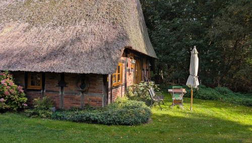 Hus in Huddel - Worpswede - Teufelsmoor - Foto 3, Garden, Garden view