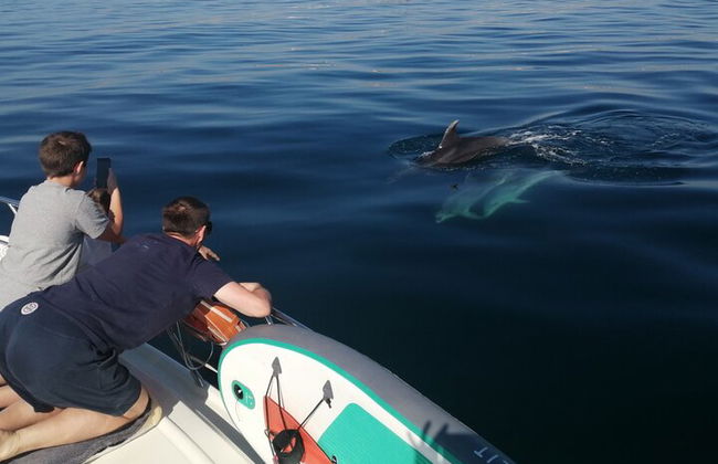 Champagner-Abendtour zur Ponta da Piedade mit Getränken und Tapas - Foto 8