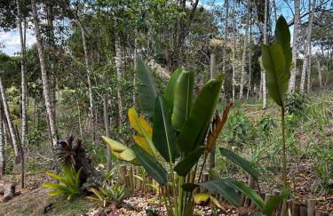 Casa dos Sonhos - Patrimônio da Penha - Foto 30