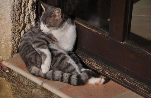 Agriturismo Tholos - Photo 64