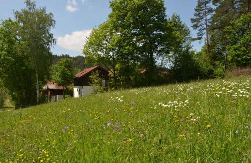 Ferienwohnung Wildgatter - Photo 4